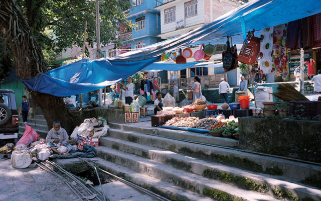 Pe-Lin Neven Du Mont, Rishi Bazaar